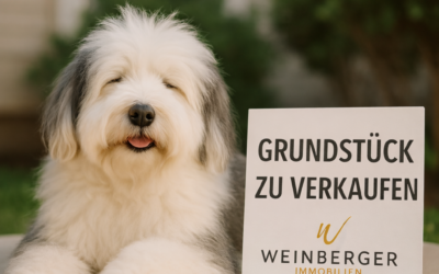 Home Staging: So optimieren Sie Ihre Immobilie für den Verkauf
